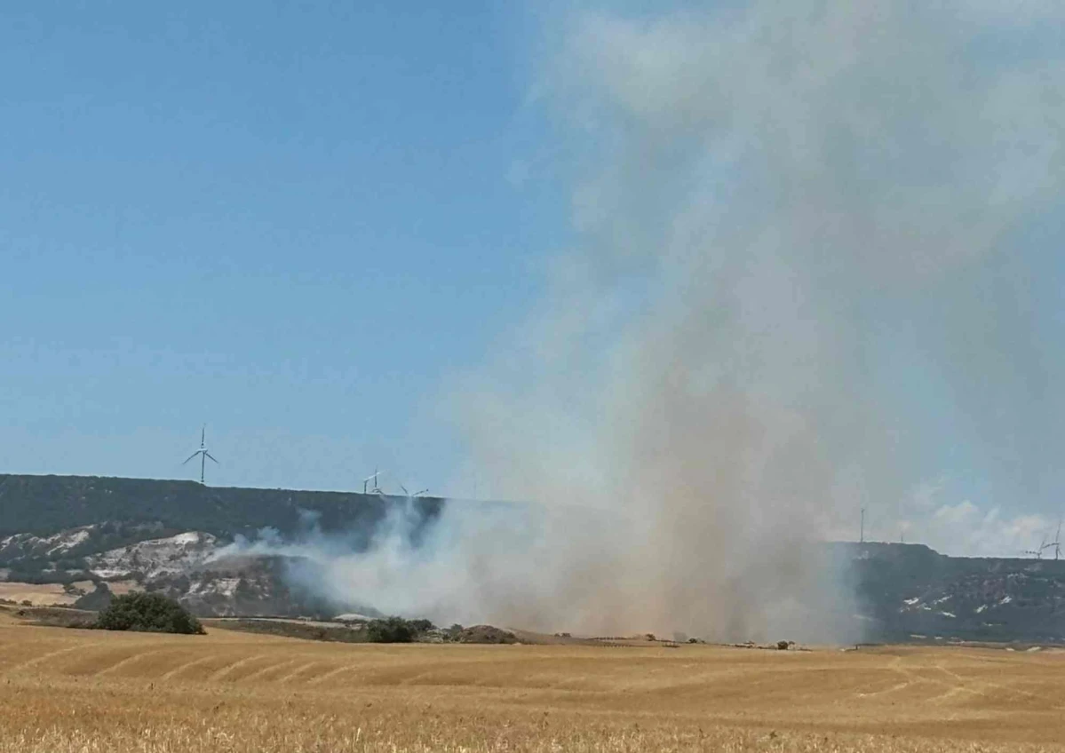 Incendio de Utrilla 1